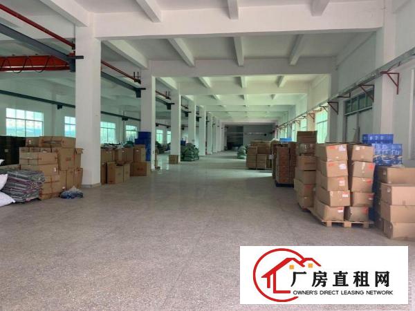  出租桥头镇桥头城区原房东独院6500平带独立办公楼