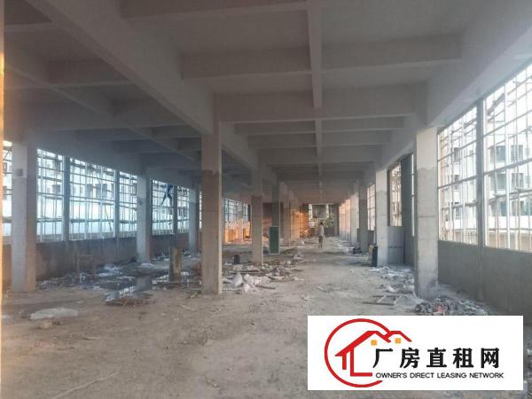  新建标准独门独院厂房实际面积出租无公摊