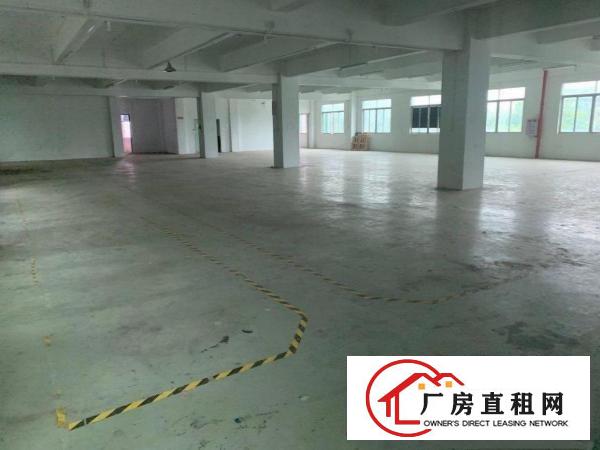  桥头镇新出带现成装修标准独院厂房