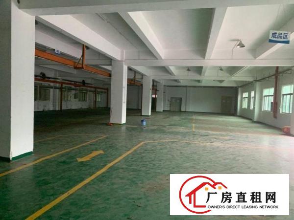  桥头镇新出带现成装修标准独院厂房