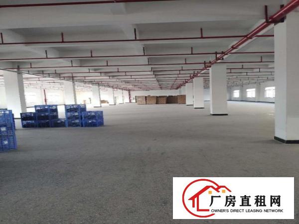  真实图片分租一层可以做重工业，现成装修