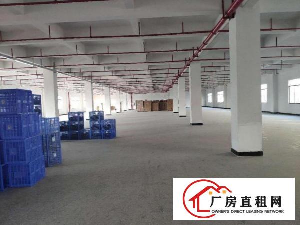  真实图片分租一层可以做重工业，现成装修