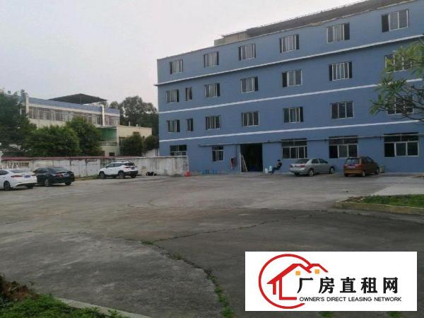  桥头主街道厂房1100平出租，干净大独院，适合餐饮酒店办公。