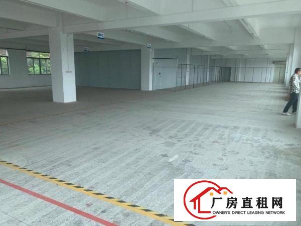  桥头镇新出13元标准独院厂房