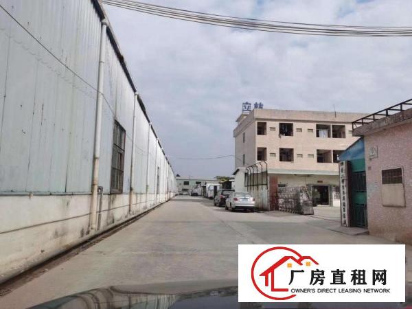  原房东独门独院钢结构厂房
