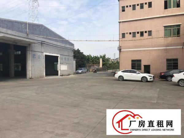  出租桥头镇原房东独门独院厂房3000平方