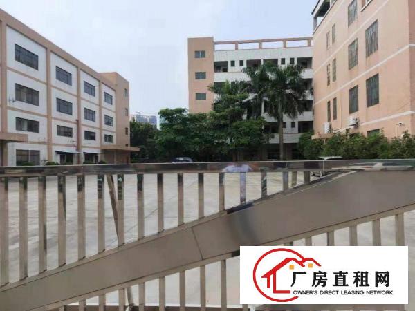  桥头原房东标准独院一楼6.5米高现成水电