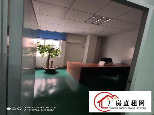  桥头新出厂房，全厂全新豪华装修，水电齐全零转让费