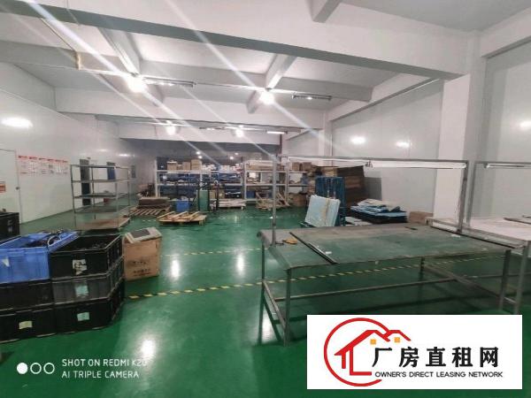  桥头新出厂房，全厂全新豪华装修，水电齐全零转让费