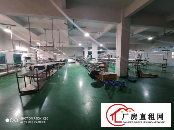  桥头新出厂房，全厂全新豪华装修，水电齐全零转让费