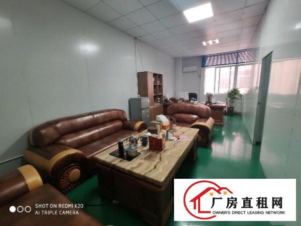  桥头新出厂房，全厂全新豪华装修，水电齐全零转让费