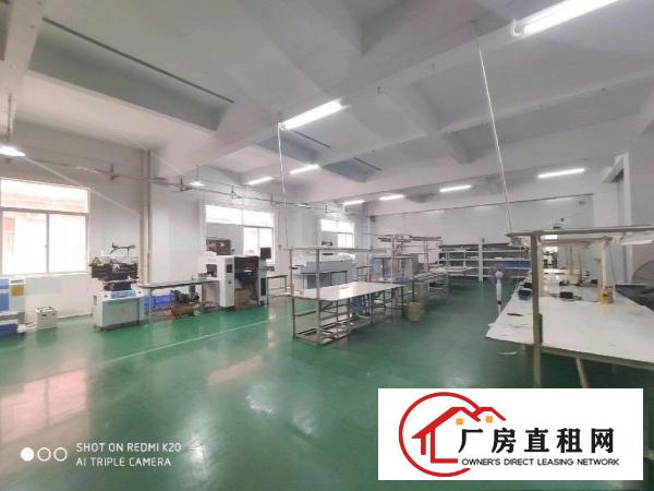 桥头新出厂房，全厂全新豪华装修，水电齐全零转让费