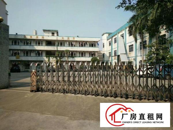  出租桥头镇原房东独院厂房总面积8000平方可分租