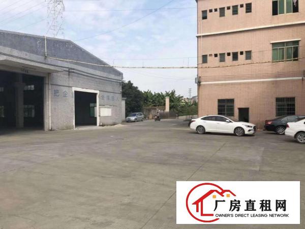  出租桥头镇新空出单一层800平方