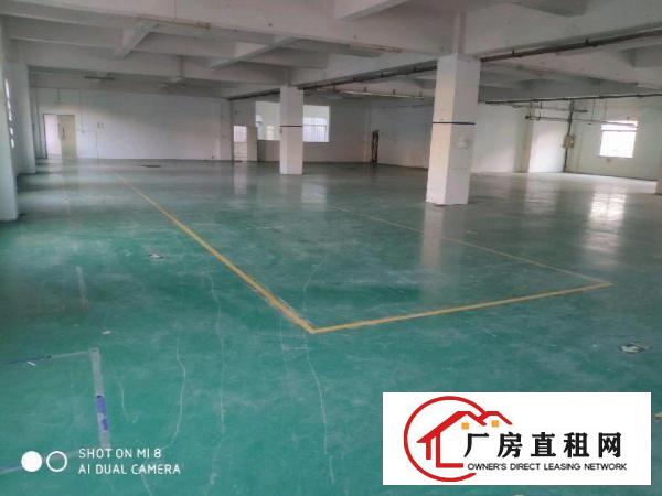  桥头镇中心位置独院招租