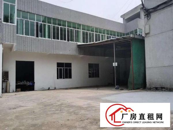  出租桥头镇原房东独门独院2500平方空地大