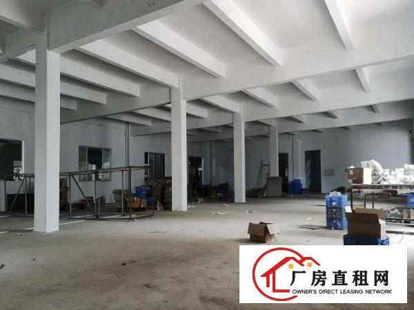  出租桥头镇原房东独门独院2500平方空地大