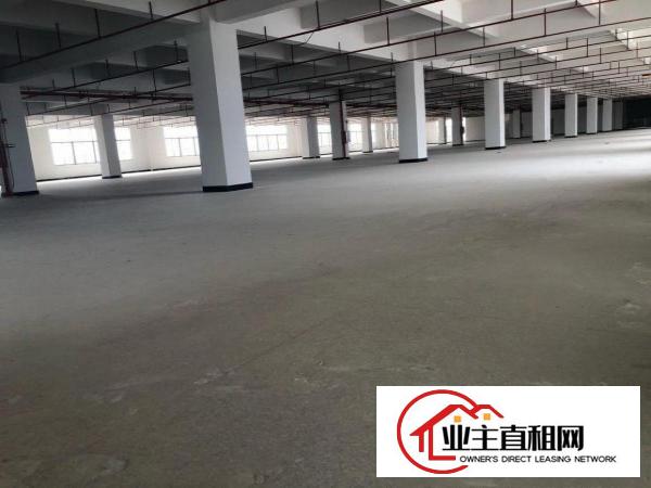  实业客户分租一层厂房1800平方，不赚房租和水电费用！