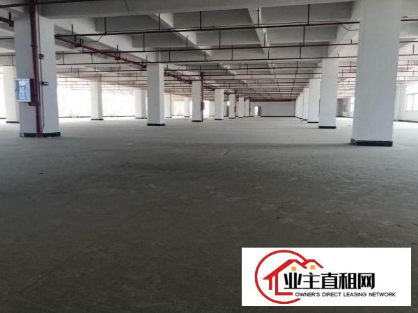 实业客户分租一层厂房1800平方，不赚房租和水电费用！