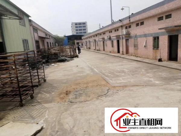  一手房东砖墙到顶滴水7米单一层直接出租，没有中间商赚差价！