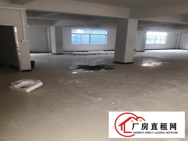  桥头大洲村元禾岭171号有房出租，要的快来，价格可商量