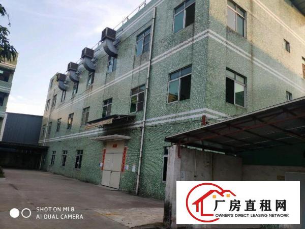 桥头镇中心标准独院招租