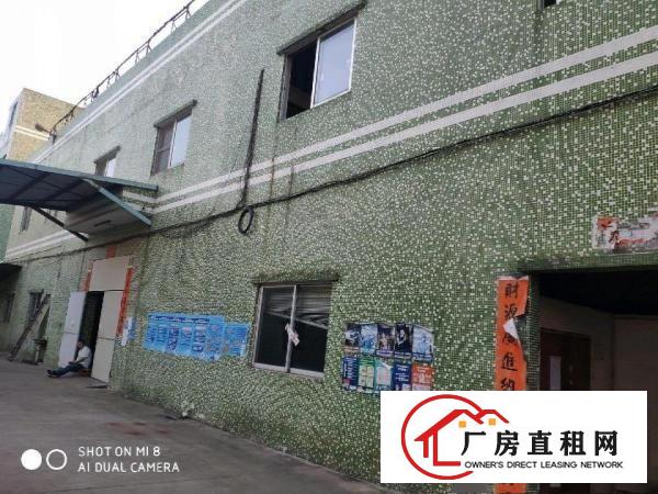  桥头镇中心标准独院招租