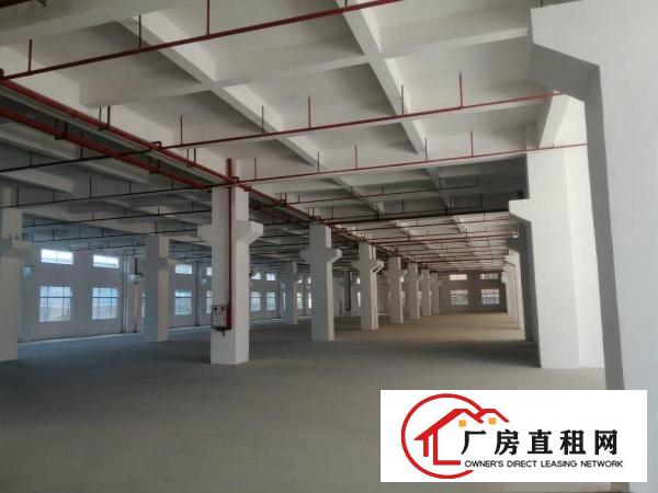  桥头华夏工业区内新出标准厂房分租一楼1500平方，