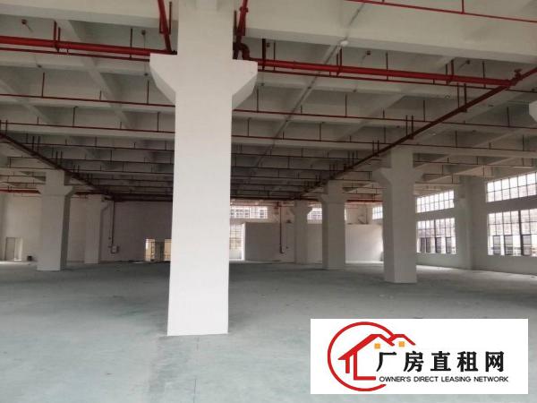  桥头华夏工业区内新出标准厂房分租一楼1500平方，