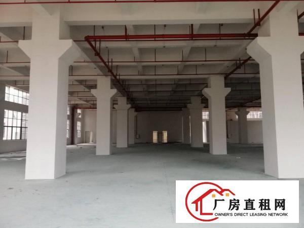  桥头华夏工业区内新出标准厂房分租一楼1500平方，