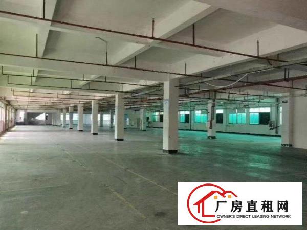  桥头镇成熟工业区花园式厂房楼上1860平，带装修