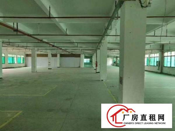  桥头镇成熟工业区花园式厂房楼上1860平，带装修