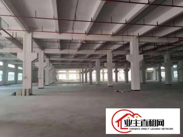  桥头大洲新出原房东一楼整层2000平方带精装修办公室出租