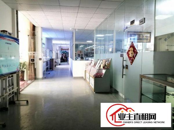  桥头大洲新出原房东一楼整层2000平方带精装修办公室出租