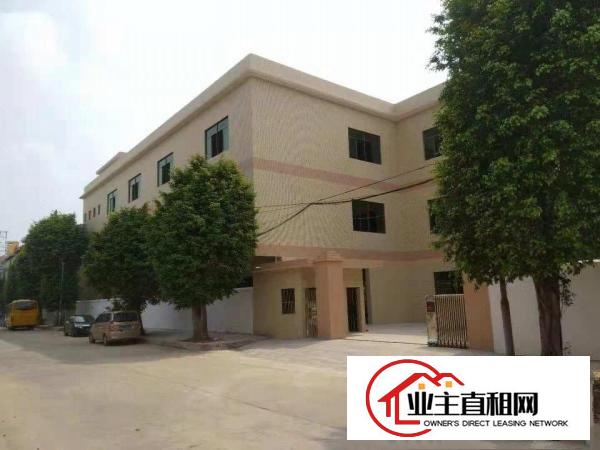  出租桥头桥头城区独院厂房