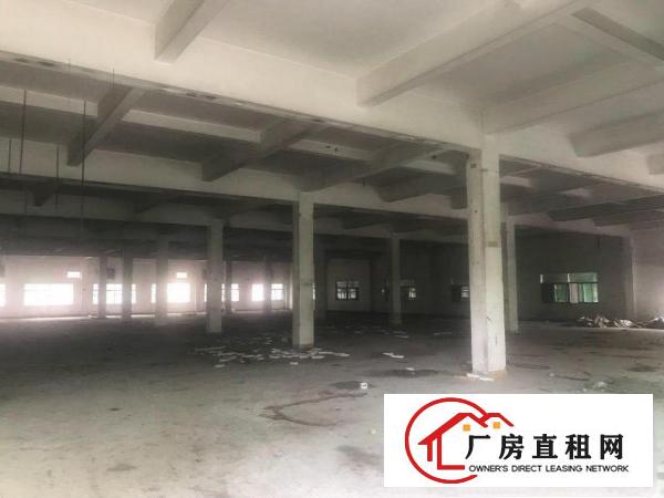  桥头镇原房东独院标准厂房招租