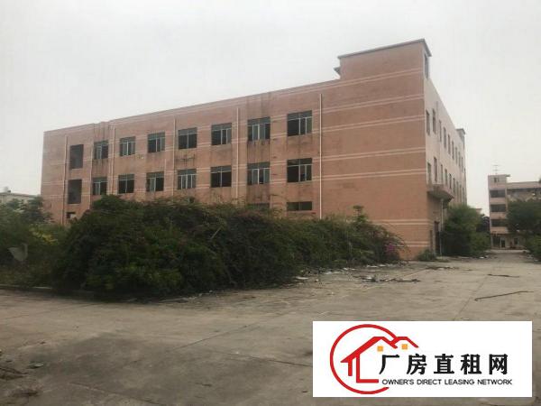  桥头镇原房东独院标准厂房招租