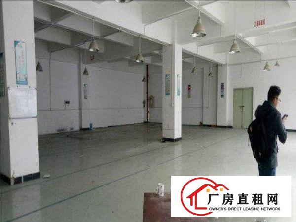  桥头镇邓屋独院标准3楼300平厂房出租停车位充足