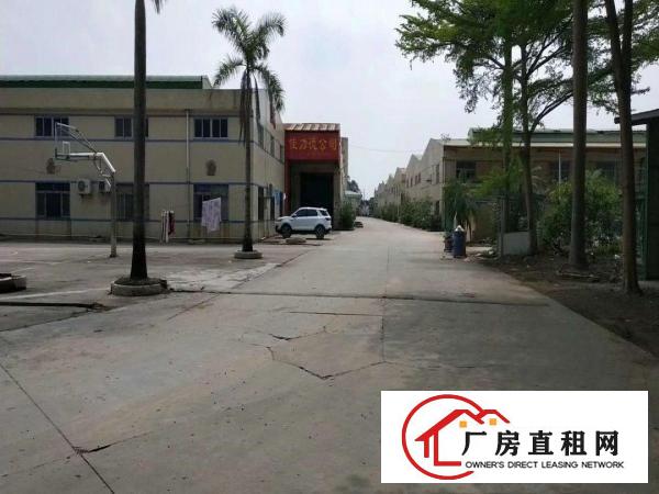  出租桥头镇新出单一层厂房2700平形象好