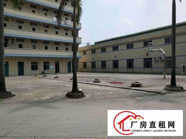  出租桥头镇新出单一层厂房2700平形象好