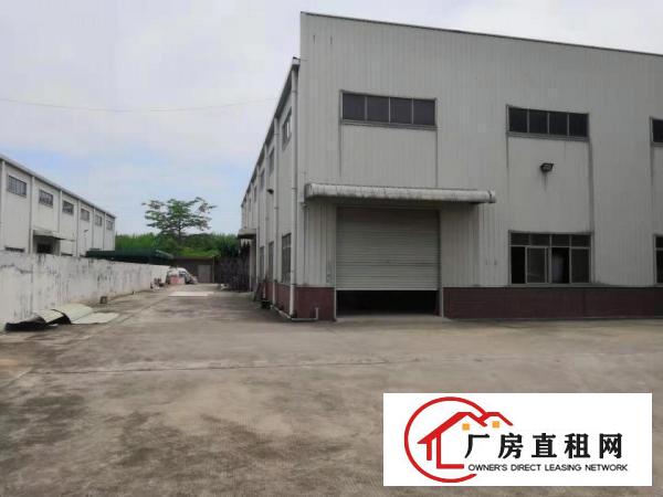  东莞桥头镇原房东独院滴水10米钢构工业厂房共4470平招