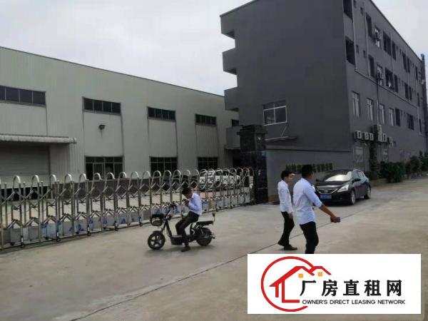  东莞桥头镇原房东独院滴水10米钢构工业厂房共4470平招