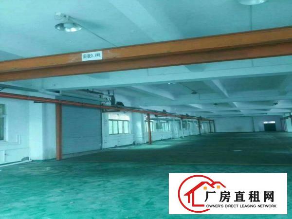  小独院带行车5吨现成注塑环评地坪漆精装修办公室