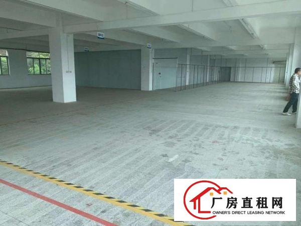  小独院带行车5吨现成注塑环评地坪漆精装修办公室