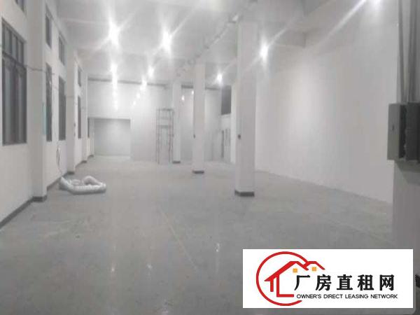  出租桥头镇原房东分租二楼650平方带电梯