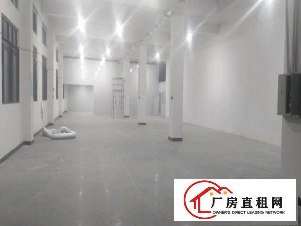  出租桥头镇原房东分租二楼650平方带电梯