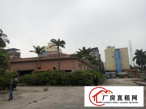  桥头镇原房东国有证独院标准三层厂房出租