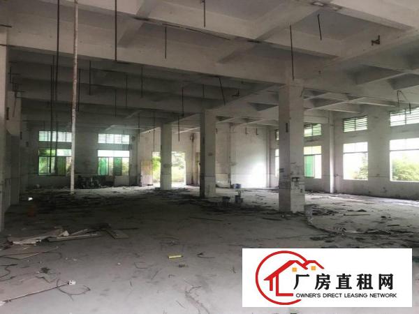  桥头镇原房东国有证独院标准三层厂房出租