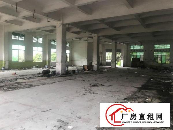  桥头镇原房东国有证独院标准三层厂房出租