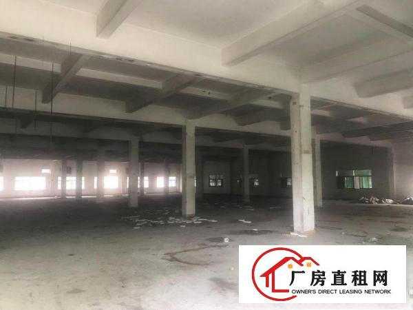  桥头镇原房东国有证独院标准三层厂房出租